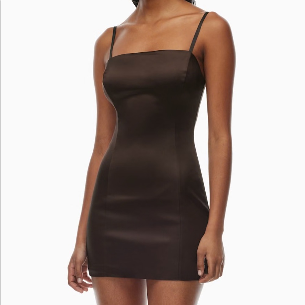Aritzia TEN Brown Satin Dress Size 4